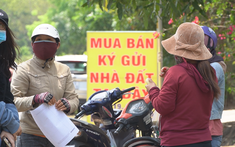 Môi giới bất động sản: Đón sóng, rồi vất vả vượt sóng