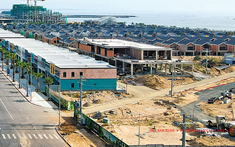 Kinh tế năm 2023: Nhiều gam màu sáng (Phần 2)