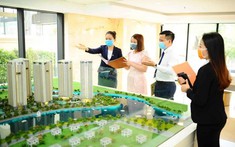 TP.HCM: 6 sàn giao dịch bất động sản chấm dứt hoạt động