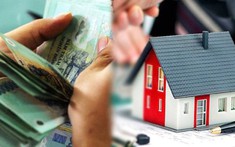 Những Ngân Hàng Nào Sẽ Giảm Lãi Suất Cho Vay Bất Động Sản?