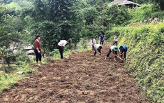 Đất Vườn Tạp Là Gì - Đất Vườn Tạp Có Được Xây Nhà Không?
