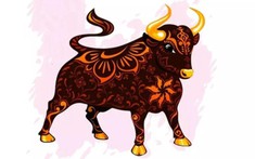 Xem Tuổi 1997 Xây Nhà Năm 2023