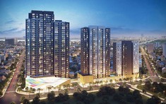 Chi Tiết Mặt Bằng Kingdom 101 - Căn Hộ Trung Tâm Quận 10
