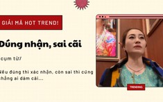 Người người thi nhau bổ quả cau, 'đúng nhận sai cãi' bắt nguồn từ đâu?