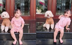 Biểu cảm hài hước của con gái Đông Nhi trong buổi chụp hình bất ổn