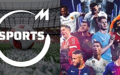 Fanpage “Moli Sports” - Nơi kết nối những fan yêu thể thao chân chính