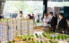 Tháng 1/2023, số lượng doanh nghiệp bất động sản thành lập mới giảm 65%