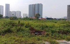 “Sức khoẻ” doanh nghiệp bất động sản ngày càng báo động
