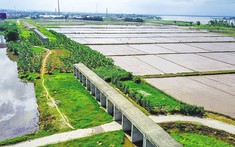 Thủ tướng yêu cầu sớm khởi động lại dự án đường sắt Yên Viên – Phả Lại sau 12 năm đình trệ
