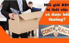 Môi giới bất động sản bị cho thôi việc, cắt hợp đồng có được bồi thường?