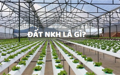 Đất NKH là gì? Có được xây nhà trên đất NKH?