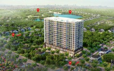 Giá Chung Cư Quận Long Biên Phù Hợp Với Người Thu Nhập Thấp?