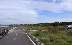 Nóng trong tuần: Bất chấp biến động thị trường, giao dịch đất nền vẫn tăng?