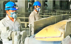 Sau thép, tới lượt doanh nghiệp xi măng báo lỗ