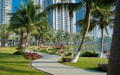 Cung đường Vịnh Đảo Ecopark – điểm đến du xuân hút khách đầu năm mới