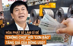 Gánh khoản nợ vay 57.000 tỉ đồng, Hòa Phát đã làm gì để ứng phó với tỷ giá và lãi suất tăng?