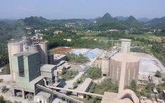 Không có khả năng trả khoản nợ nghìn tỷ, Bộ Công thương “hiến kế” giải cứu Xi măng Quang Sơn