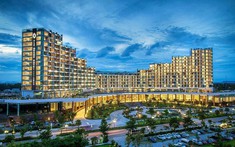 Cổ phiếu FLC bị đưa vào diện đình chỉ giao dịch từ ngày 3/3; xem xét cho ROS giao dịch trên UpCoM