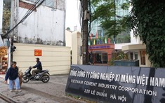 Dưới thời ông Bùi Hồng Minh, VICEM làm ăn ra sao?