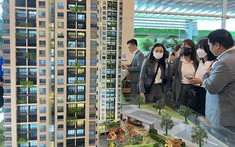 Thủ tướng đề nghị phân tích liệu giá cả bất động sản, có lệch pha về cung cầu không