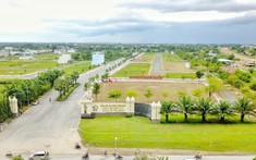 Long An giao đất cho Tập đoàn Năm Sao thực hiện dự án hơn 195ha