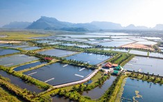 Trình tự, thủ tục giảm 30% tiền thuê đất, thuê mặt nước năm 2022