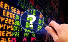 SSI Research nhận định gì về cổ phiếu Hoa Sen, Nam Kim?
