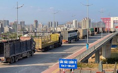Tháng đầu năm, kim ngạch thương mại song phương Việt Nam - Trung Quốc đạt hơn 11 tỷ USD