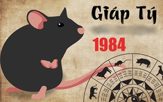 Tuổi Giáp Tý Xây Nhà Năm 2023 Có Tốt Không?