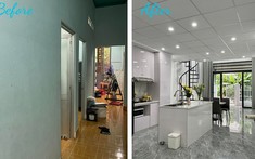 Hiệp Hội Chế Biến Gỗ Tỉnh Bình Dương Sẵn Sàng Đầu Tư Tại Cụm Công Nghiệp Thành Phương