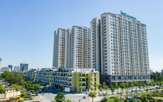 Những Rủi Ro Khi Mua Nhà Ở Xã Hội Qua Hình Thức Ủy Quyền, Lập Vi Bằng