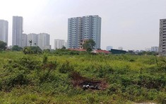 Chỉ đạo mới của Hà Nội đối với 64 dự án ôm đất bỏ hoang tại Mê Linh