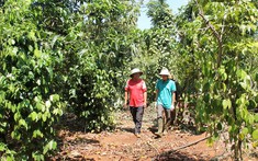 LNC Là Đất Gì - 3 Câu Hỏi Thường Gặp Khi Đầu Tư Đất LNC Tại Việt Nam