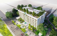 Phân khúc này dự báo sẽ có nhiều dư địa trong thời gian tới