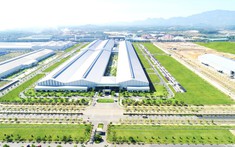 Miền Trung xây tổ mới để đón “đại bàng mới”