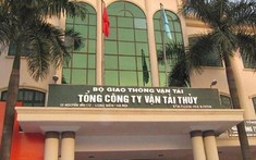 Xử lý 3 lô đất khi cổ phần hoá của VIVASO