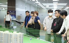 Thị trường bất động sản khởi sắc: Phân khúc nào tiềm năng nhất?