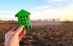 Mẫu Hợp Đồng Thuê Đất Mới Nhất Cập Nhật 2023