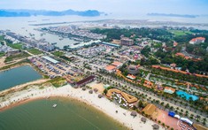 Đất TMD Là Gì - 5 Câu Hỏi Làm Rõ Về Đất Dịch Vụ Tại Việt Nam