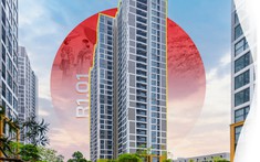 The Zenpark: Dự án khu căn hộ tại Vinhomes Ocean Park