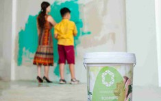 Sơn sinh thái… có thực sự "sinh thái"?
