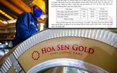 Hoa Sen bị cơ quan thuế truy thu hàng tỷ đồng