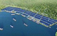 Cầu Cảng Phước Đông: Dự án khu công nghiệp tại Long An