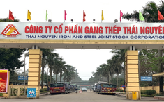Thua lỗ, nợ “ngập đầu”, Tisco bị nghi ngờ về khả năng hoạt động liên tục