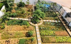 Bà mẹ bốn con biến mảnh đất 300m2 thành “khu vườn cổ tích” giữa thành phố