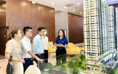 Cả thập kỷ vướng pháp lý, 10.000 căn shophouse, officetel,… chưa được cấp sổ hồng