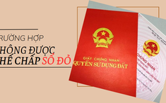 Trường hợp nào không được vay thế chấp sổ đỏ?