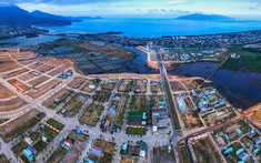 Trung Nam bị cưỡng chế thuế hơn 445 tỷ đồng