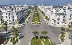 “Nữ tướng” công ty của tỷ phú Phạm Nhật Vượng được trả lương gần tỷ đồng mỗi tháng