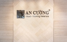 An Cường Tung Ra Hàng Loạt Sản Phẩm Mới  Phù Hợp Với Xu Hướng Thiết Kế Mới